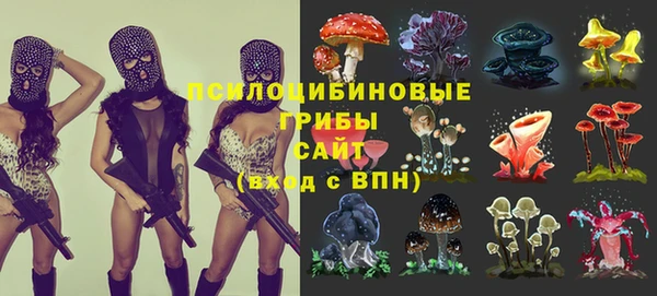 mdma Богородицк