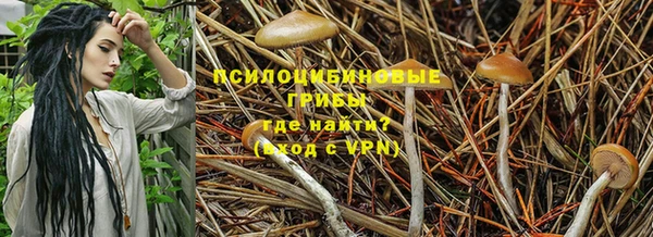 марки lsd Богородск
