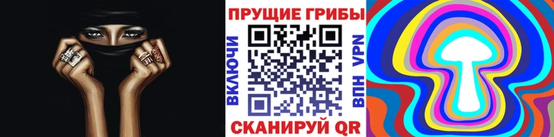 Псилоцибиновые грибы мицелий Данков